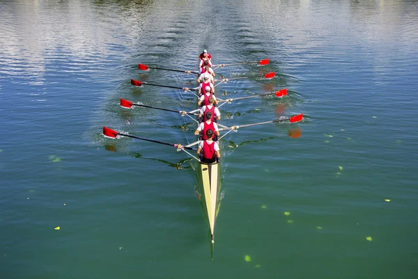 depositphotos_70669435-stock-photo-boat-coxed-eight-rowers-rowing.webp